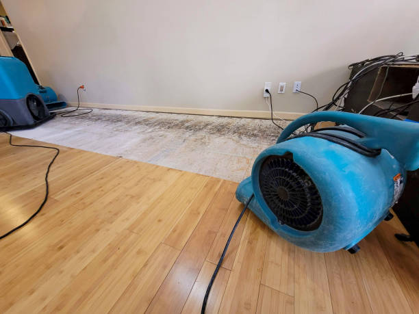Professional Water Damage Repair technician working in Moultonborough, NH